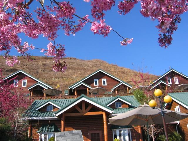 清境豐田桂林山莊民宿 仁愛郷 エクステリア 写真